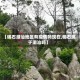 【碣石潮汕地区有疫情吗现在,碣石属于潮汕吗】