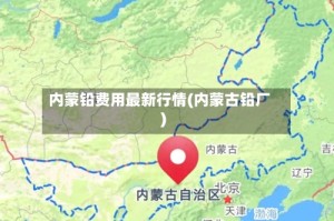 内蒙铅费用最新行情(内蒙古铅厂)
