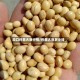 周口许昌大豆行情/许昌大豆多少钱