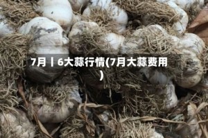 7月丨6大蒜行情(7月大蒜费用)