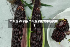 广州玉米行情(广州玉米批发市场费用)