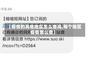 【疫情的其他地区怎么查询,每个地区疫情怎么查】