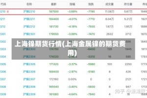 上海镍期货行情(上海金属镍的期货费用)