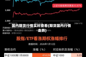 国内期货行情实时查看(期货国内行情走势)