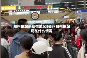 郑州东站是疫情地区吗吗/郑州东站现在什么情况