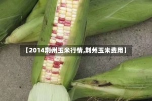 【2014荆州玉米行情,荆州玉米费用】