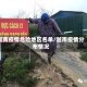 越南疫情危险地区名单/越南疫情分布情况
