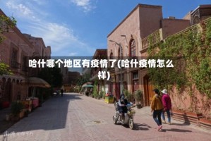哈什哪个地区有疫情了(哈什疫情怎么样)