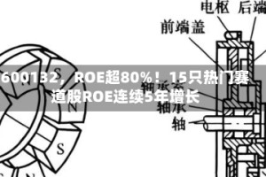600132，ROE超80%！15只热门赛道股ROE连续5年增长
