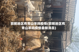 邯郸地区有青山羊吗疫情(邯郸地区有青山羊吗疫情最新消息)