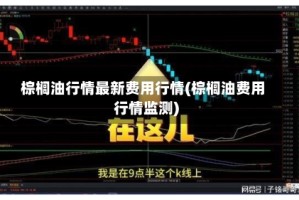 棕榈油行情最新费用行情(棕榈油费用行情监测)
