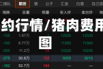 猪肉主力合约行情/猪肉费用k线走势图