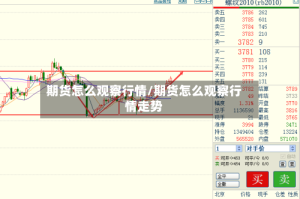 期货怎么观察行情/期货怎么观察行情走势