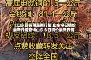 【山东铜费用最新行情,山东今日铜价最新行情查询山东今日铜价最新行情】