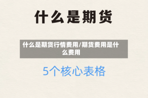 什么是期货行情费用/期货费用是什么费用