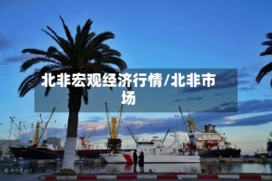 北非宏观经济行情/北非市场