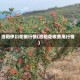 洛阳伊川花椒行情(洛阳花椒费用行情)