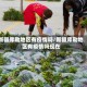 新疆库勒地区有疫情吗/新疆库勒地区有疫情吗现在
