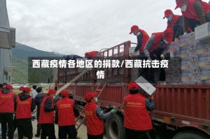 西藏疫情各地区的捐款/西藏抗击疫情