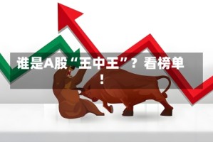 谁是A股“王中王”？看榜单！