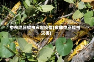 中东地区蝗虫灾害疫情(东非中亚蝗虫灾害)