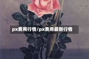 px费用行情/px费用最新行情