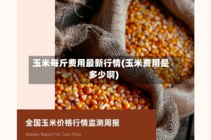 玉米每斤费用最新行情(玉米费用是多少啊)