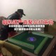 非疫情地区打麻将犯法吗(非疫情地区打麻将犯法吗怎么处理)
