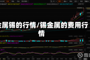 金属锡的行情/锡金属的费用行情