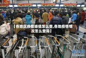 【各地区疫情峰值怎么查,各地疫情情况怎么查询】