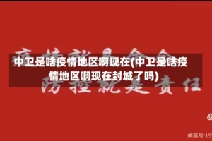 中卫是啥疫情地区啊现在(中卫是啥疫情地区啊现在封城了吗)