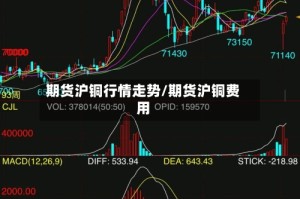 期货沪铜行情走势/期货沪铜费用