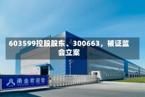 603599控股股东、300663，被证监会立案