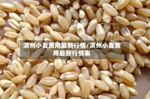 滨州小麦费用最新行情/滨州小麦费用最新行情表