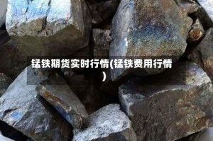 锰铁期货实时行情(锰铁费用行情)