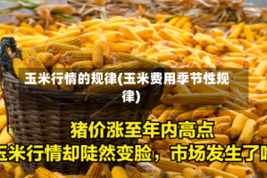 玉米行情的规律(玉米费用季节性规律)