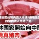 疫情地区的猪肉流入市场/疫情地区的猪肉流入市场了吗
