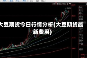 大豆期货今日行情分析(大豆期货最新费用)