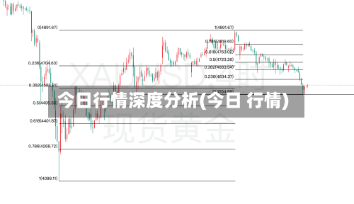 今日行情深度分析(今日 行情)-第1张图片