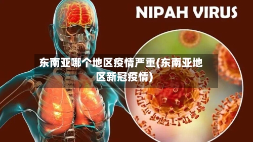 东南亚哪个地区疫情严重(东南亚地区新冠疫情)-第2张图片