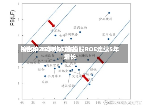 A股2025年ROE排名榜出炉 15只热门赛道股ROE连续5年增长-第1张图片
