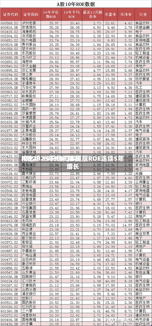 A股2025年ROE排名榜出炉 15只热门赛道股ROE连续5年增长-第3张图片