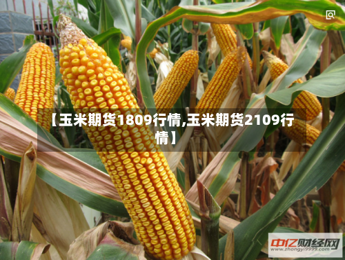 【玉米期货1809行情,玉米期货2109行情】-第1张图片