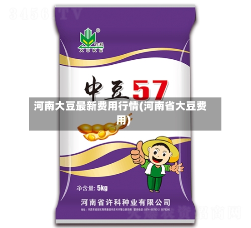 河南大豆最新费用行情(河南省大豆费用)-第1张图片