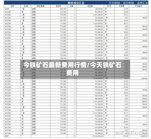 今铁矿石最新费用行情/今天铁矿石费用-第1张图片