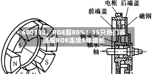 600132，ROE超80%！15只热门赛道股ROE连续5年增长-第1张图片