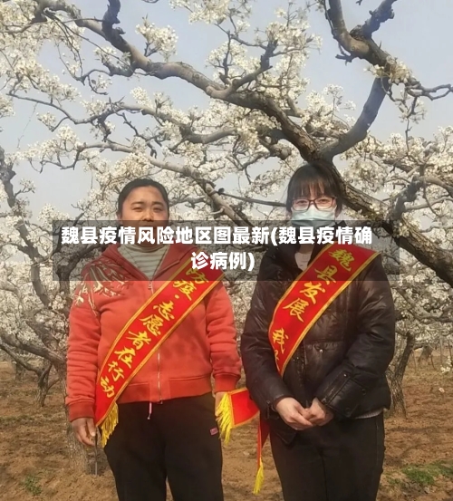 魏县疫情风险地区图最新(魏县疫情确诊病例)-第2张图片