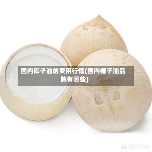 国内椰子油的费用行情(国内椰子油品牌有哪些)-第1张图片