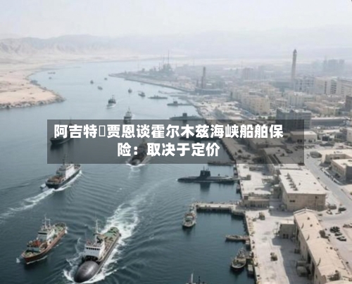 阿吉特・贾恩谈霍尔木兹海峡船舶保险：取决于定价-第1张图片