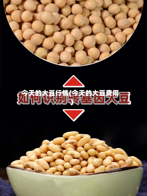 今天的大豆行情(今天的大豆费用)-第1张图片